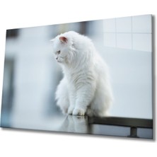 Shopping Haven Beyaz Kedi Cam Tablo
