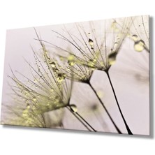 Shopping Haven Sarı Karahindiba Cam Tablo