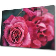 Shopping Haven Rose 1 Cam Tablo