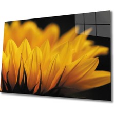 Shopping Haven Ay Çiçeği 2 Cam Tablo