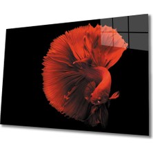 Shopping Haven Kırmızı Balık Cam Tablo