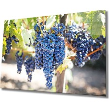 Shopping Haven Meyveler Cam Tablo 4mm Dayanıklı Temperli Cam