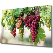 Shopping Haven Meyveler Cam Tablo 4mm Dayanıklı Temperli Cam