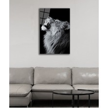 Shopping Haven Aslan Hayvan Temperli Cam Tablo