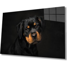 Shopping Haven Köpek 6 Cam Tablo