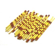 Rhn SP02 Sipsi Kamış