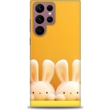 Kılıf Evreni Samsung Galaxy S22 Ultra Uyumlu A+ Plus Kılıf + SERAMİK KIRILMAZ EKRAN KORUYUCU 78