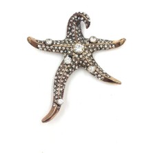 Deniz Yıldızı Otantik Broş