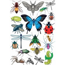 Kelebekler Sticker Set