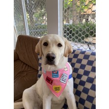 Büyük Boy Kucak Köpeği Arması - Bandana, Kıyafet ve Çantalara Uygun Ütüyle Yapışan Tasarım