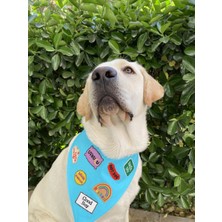 Good Boy Köpek Arması - Akıllı ve Sevimli Bandana, Kıyafet ve Çantalara Uygun Ütüyle Yapışan Arma