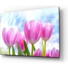 Shopping Haven Doğa Manzara Cam Tablo 4mm Dayanıklı Temperli Cam