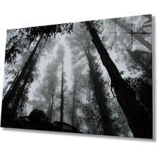 Shopping Haven Siyah Beyaz Ağaçlar Cam Tablo, Ev ve Ofis Duvar Dekoru Hediyelik Büyük Tablo Dayanıklı Cam