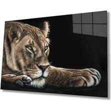 Shopping Haven Aslan Hayvan Cam Tablo 4mm Dayanıklı Temperli Cam