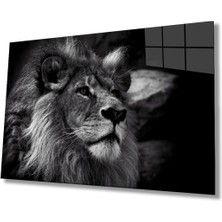 Aslan Hayvan Cam Tablo 4mm Dayanıklı Temperli Cam