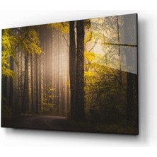 Shopping Haven Doğa Manzara Cam Tablo 4mm Dayanıklı Temperli Cam