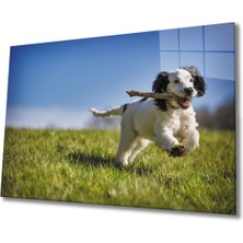 Köpek 3 Cam Tablo