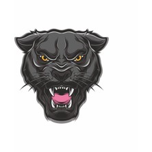 Kızgın Panter Sticker 10X10 Cmrenkli Sticker