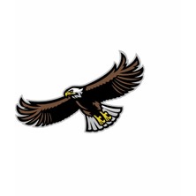 Uçan Kartal Sticker 10X10 Cmrenkli Sticker