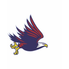 Uçan Kartal 3 Sticker 10X10 Cmrenkli Sticker