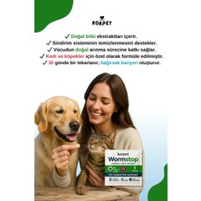 Bitkisel & Lezzetli Kedi ve Köpek Parazit Tableti Herbal Anti-Worm 2 Adet Tablet
