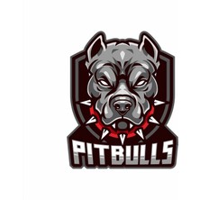 Pitbull Sticker 10X10 Cmrenkli Sticker