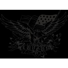 Motorcu Sticker 10X10 Cmrenkli Sticker