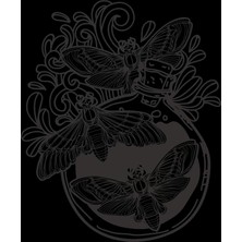 Iksir Kelebekler Sticker 10X10 Cmrenkli Sticker