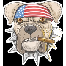 Bulldog 2 Sticker 10X10 Cmrenkli Sticker