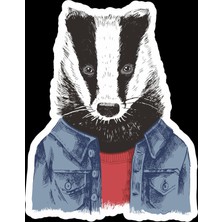 Rakun Sticker 10X10 Cmrenkli Sticker