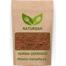 Naturşah Hurma Çekirdeği Toz-Öğütülmüş (Phoenix Dactylifera) L. 100 gr