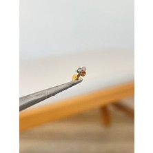 Aida Jewelss 316 L Cerrahi Çelik 3 Taşlı Conch Kıkırdak Helix Dudak Tragus Piercingi