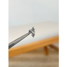Aida Jewelss 316 L Cerrahi Çelik Zirkon Taşlı Conch Kıkırdak Helix Dudak Tragus Piercingi