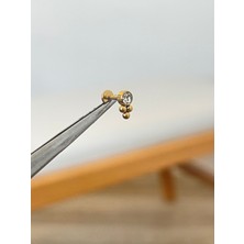 Aida Jewelss 316 L Cerrahi Çelik Zirkon Taşlı Conch Kıkırdak Helix Dudak Tragus Piercingi