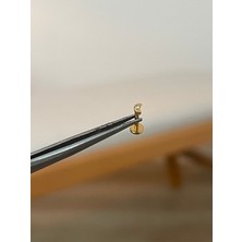 Aida Jewelss 316 L Cerrahi Çelik Ay Modeli Zirkon Taş Detaylı Gold Tragus Helix Kıkırdak Piercingi