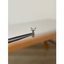 Aida Jewelss 316 L Cerrahi Çelik Dudak Kıkırdak Helix Tragus Piercingi Baget Zirkon Taş Detaylı Piercing
