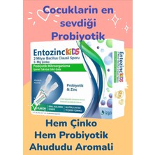 Entozinc Kids Ahududu Aromalı 10 Flakon Sıvı Probiyotik