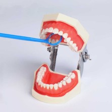 Denta Diş Kliniği İçin, 100LÜ Ayna Diş Bakım Seti 100LÜ Renkli Ayna