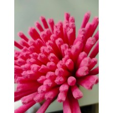 Liva Heryer.ciceklenir 100'LÜ Koyu Pembe Renkli Şönil, Eğitici Şönil Seti, Tüylü Tel, 30 cm 6mm