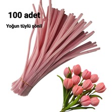 Liva Heryer.ciceklenir 100'LÜ Pastel Pembe Renkli Şönil, Eğitici Şönil Seti, Tüylü Tel, 30 cm 6mm
