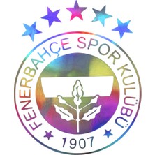 Hologram Fb Model Sticker – Işık Vurunca Renk Değiştirir – Modifiye Dekarasyon Sticker Araç % Kask Uyumlu,düz ve Prüszsüz Yüzeyler Için(Meristeed)