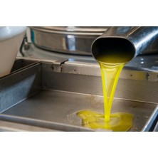 Ayvacık 5lt Natural Sızma Soğuk Sıkım 0.3 Asit Zeytinyağı
