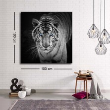 Marsilyan- Dekoratif Baskı Illüstrasyon Black White Tiger Kare Kanvas Tablo
