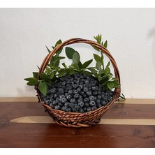 250 gr Yaban Mersini Orta Boy (Yerli)
