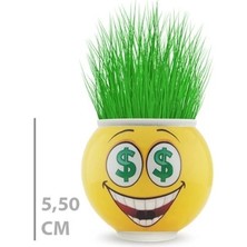 Çim Adam Saksı Emoji Figürlü 1 Adet
