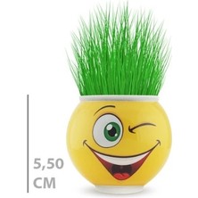 Çim Adam Saksı Emoji Figürlü 1 Adet