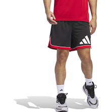 Adidas Performance IM7897 adidas Basketball Badge of Sport Shorts