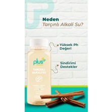 Tarçınlı Alkali Su 300 ML