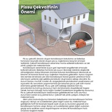 Pis Su Çekvalfi Kilitsiz Paslanmaz Klepeli (Ø160)