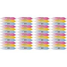 Sleepy Islak Havlu Cep Mendil 15 Yaprak (48 Li Set) Travel Pk Rose/ garden (16PK*3) 720 Yaprak